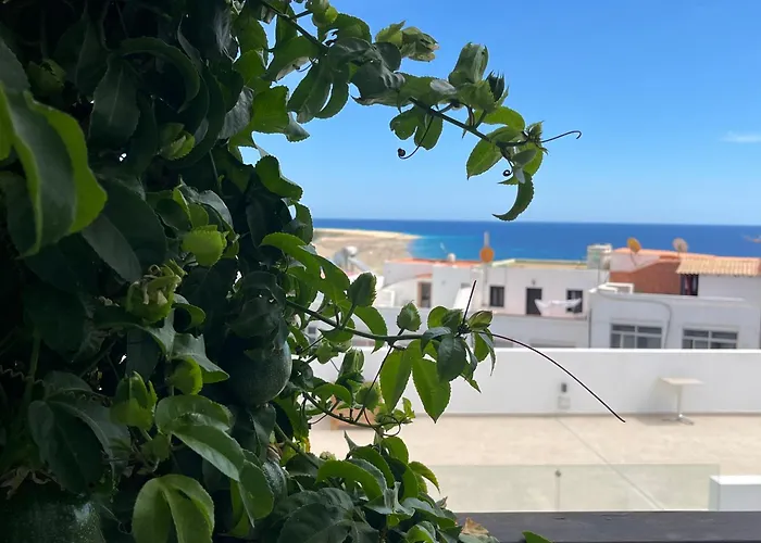 Casa Verde Con Vista Al Mar