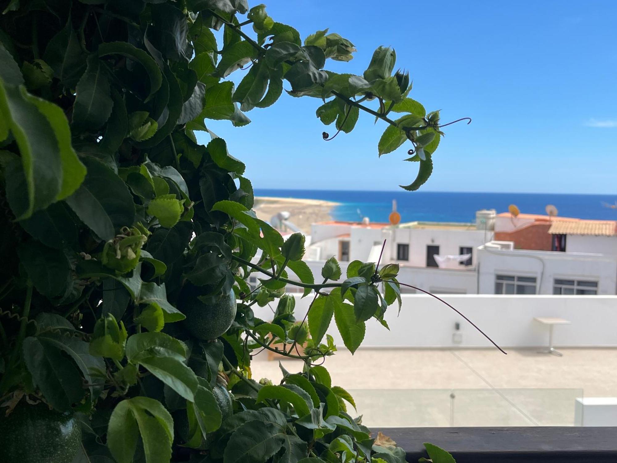 Casa Con Vista Al Mar Apartment